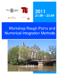 Rough Paths Workshop 2011